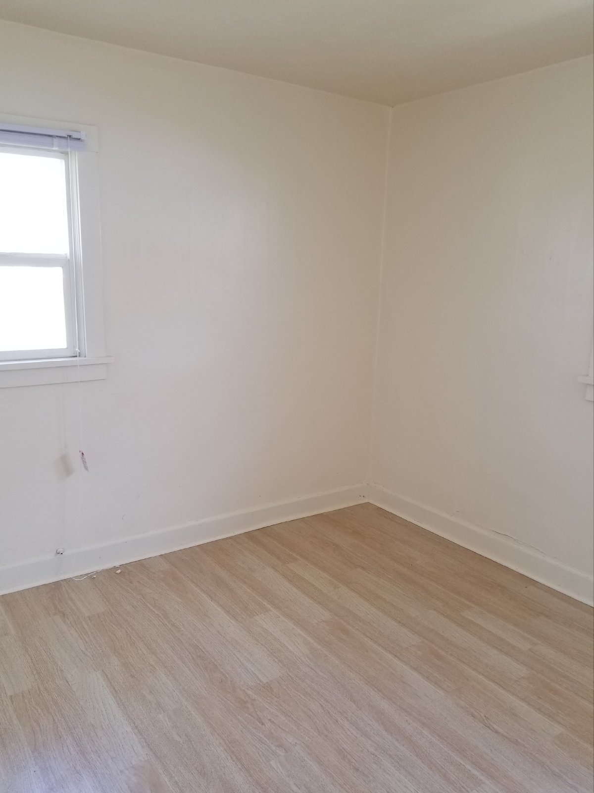 Updated 3 bedroom! property image