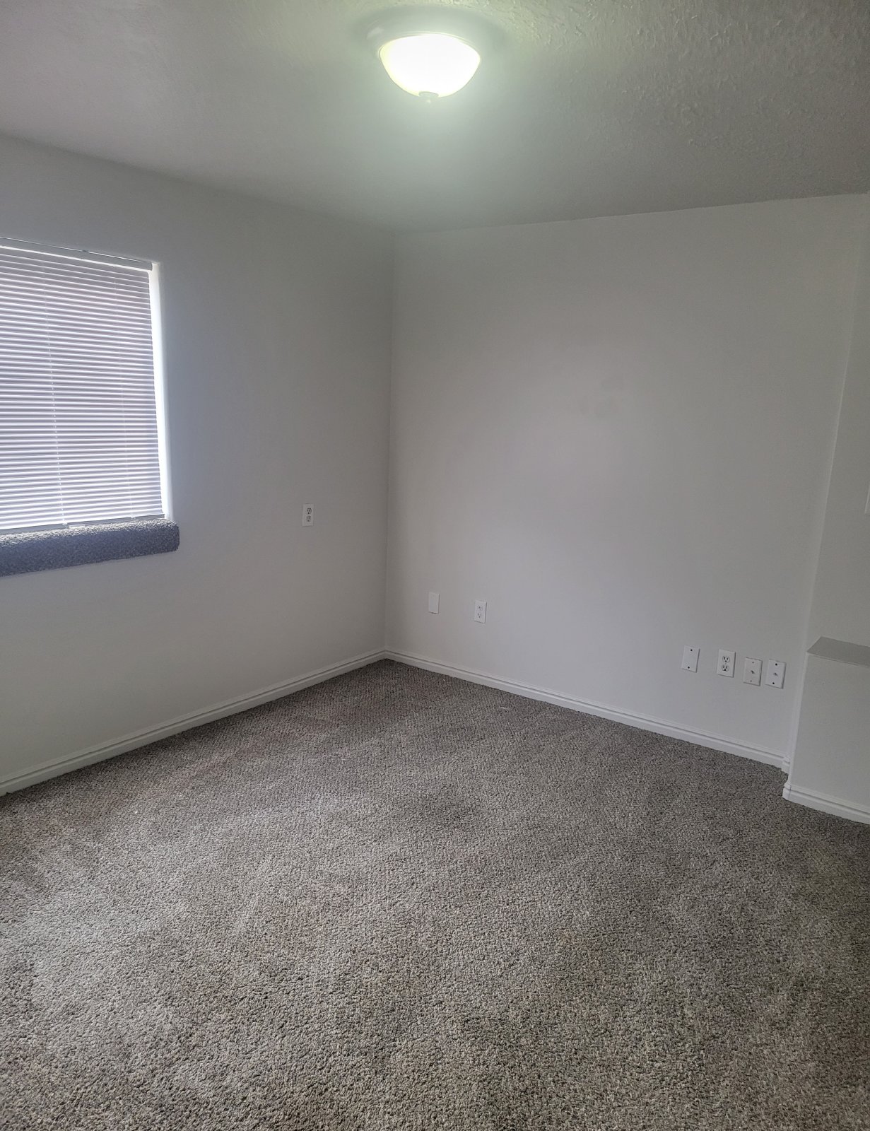 3 Bedroom Roy Home! property image