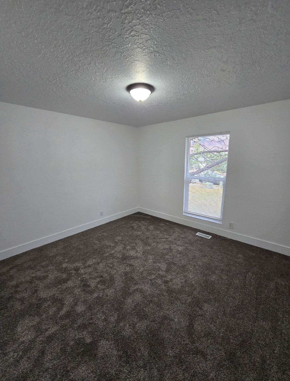 Remodeled 3 Bedroom North Ogden Home! property image