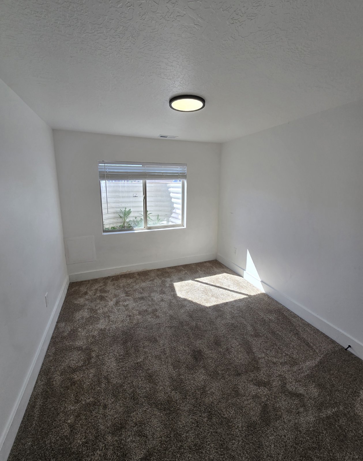 Updated 3 Bedroom Dowstairs Duplex! property image