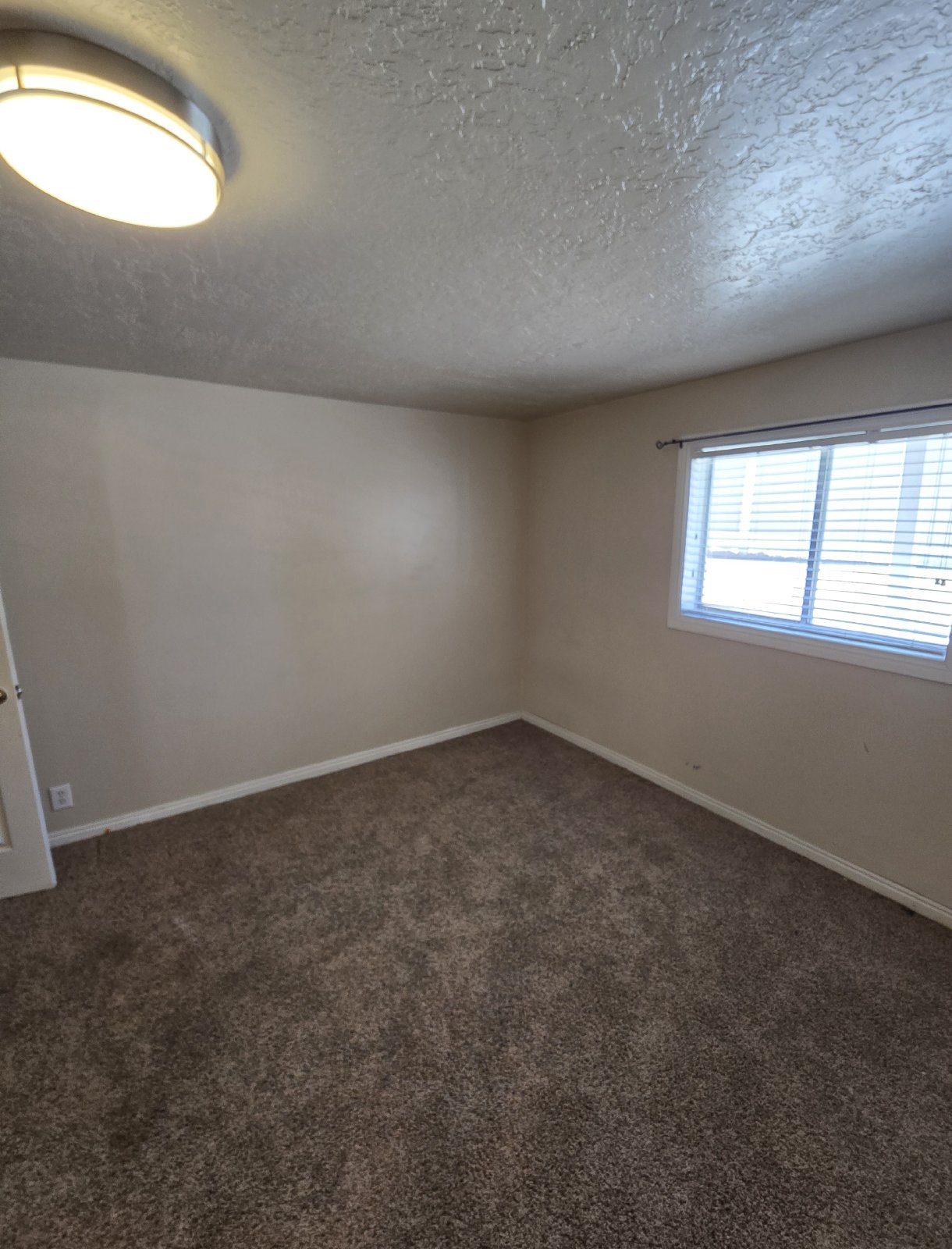 6 Bedroom Bountiful Home! property image