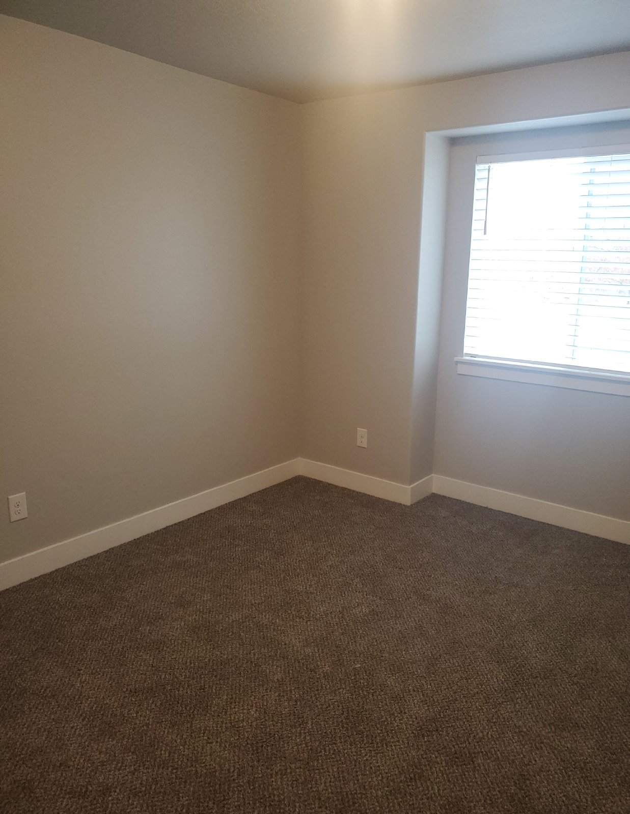3 Bedroom Washington Terrace Townhome! property image