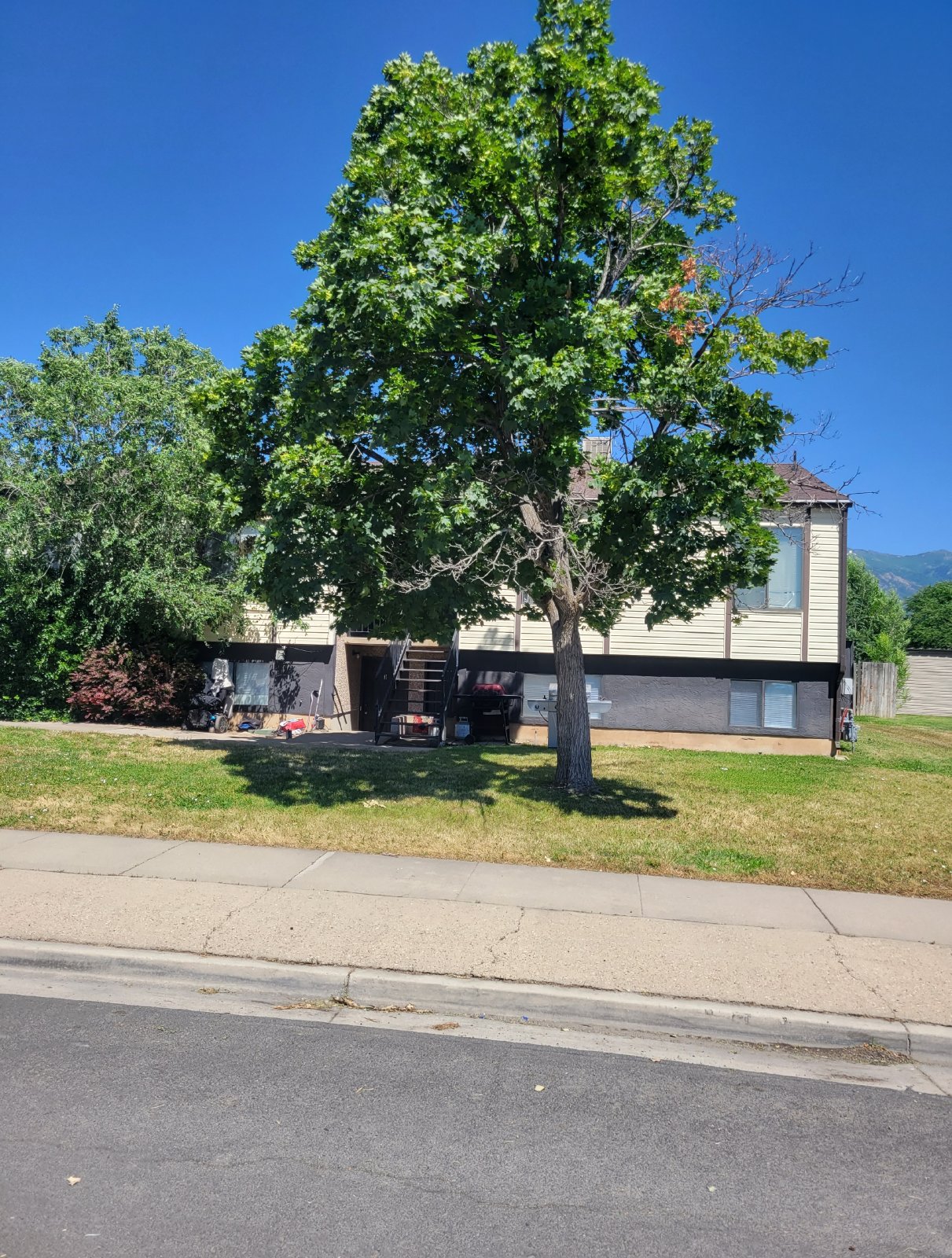 2 Bedroom Layton Multiplex! property image